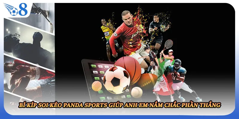 Bí kíp soi kèo Panda Sports giúp anh em nắm chắc phần thắng