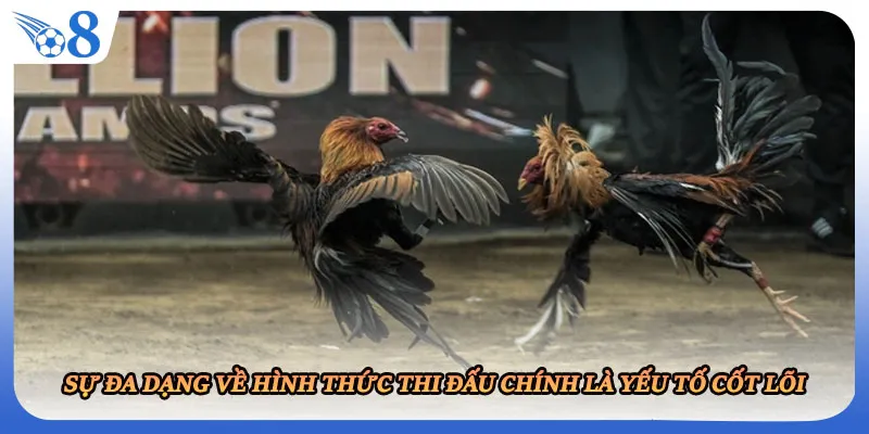 Sự đa dạng về hình thức thi đấu chính là yếu tố cốt lõi